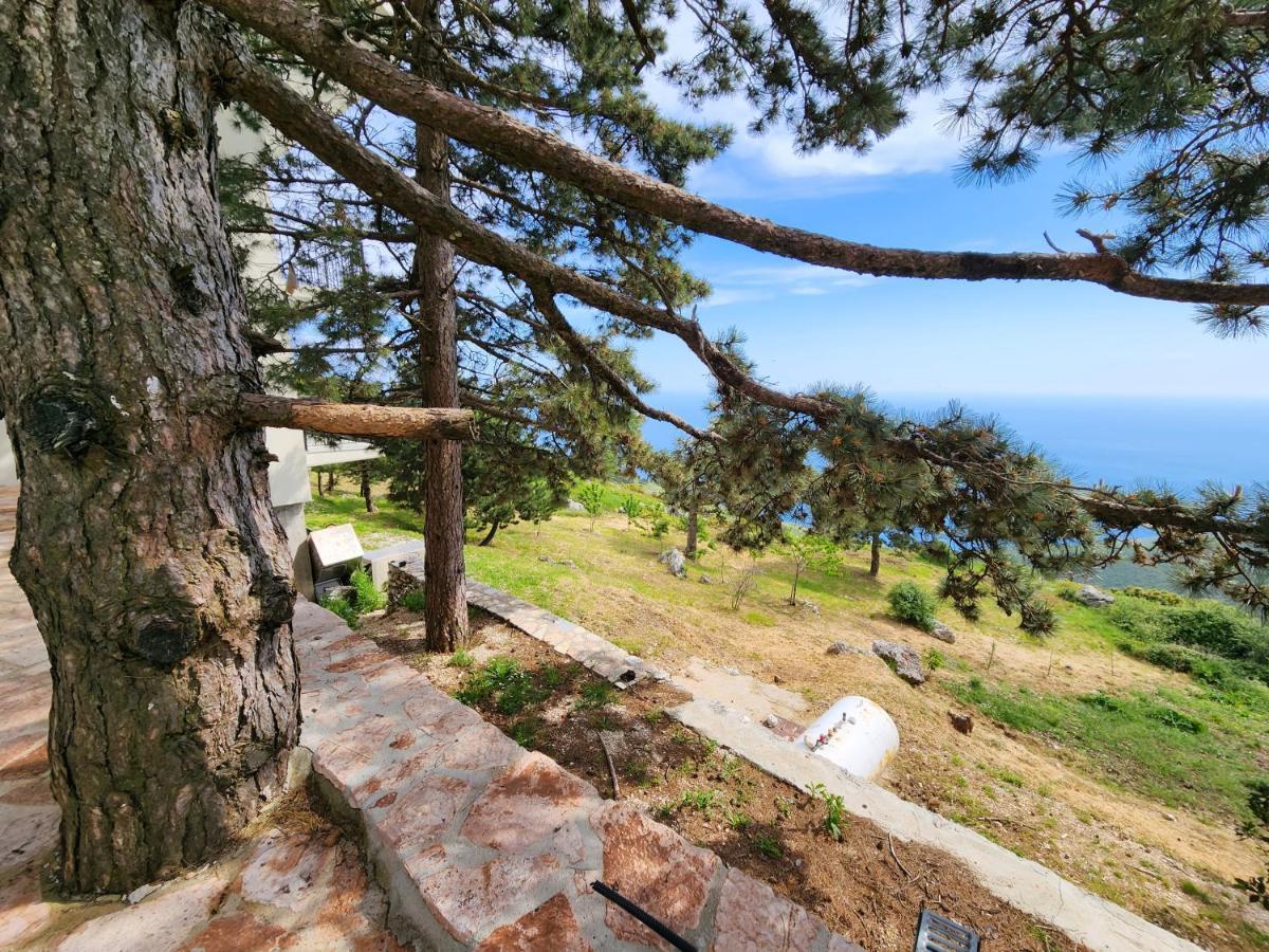 Llogora Dervishaliu Hotel Llogara National Park Ngoại thất bức ảnh