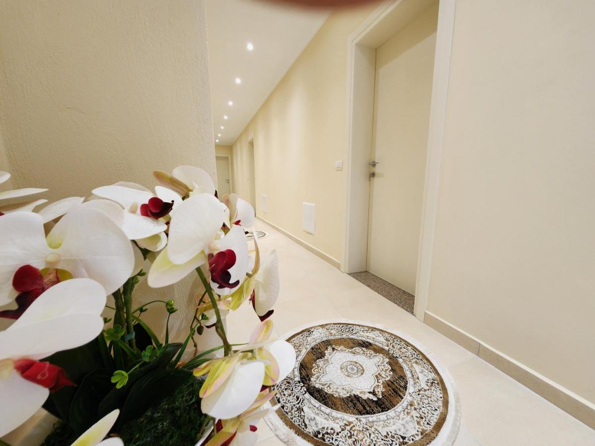 Llogora Dervishaliu Hotel Llogara National Park Ngoại thất bức ảnh